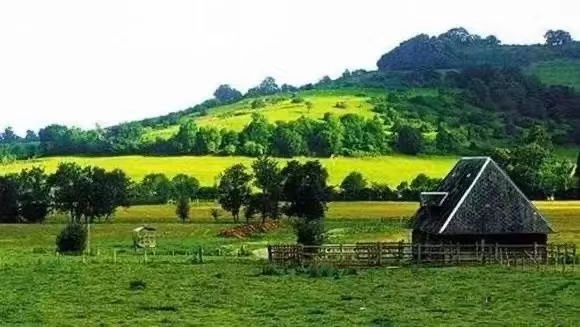 太陽(yáng)能殺蟲燈